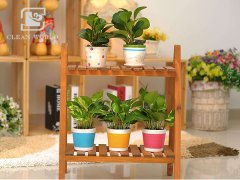 花架如何清潔？花架清潔小妙招